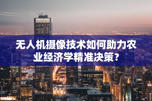 无人机摄像技术如何助力农业经济学精准决策？