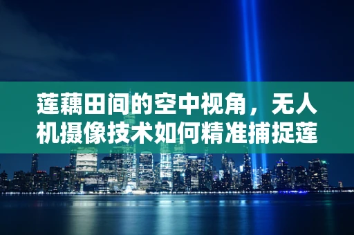 莲藕田间的空中视角，无人机摄像技术如何精准捕捉莲藕生长细节？