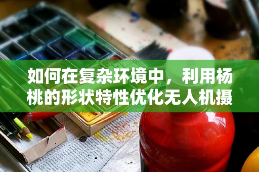 如何在复杂环境中，利用杨桃的形状特性优化无人机摄像视角？