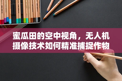蜜瓜田的空中视角，无人机摄像技术如何精准捕捉作物生长细节？
