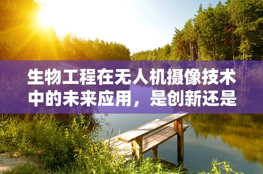 生物工程在无人机摄像技术中的未来应用，是创新还是挑战？