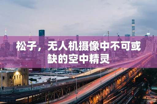 松子，无人机摄像中不可或缺的空中精灵