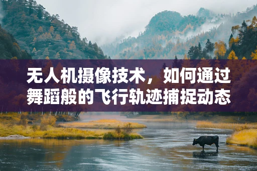 无人机摄像技术，如何通过舞蹈般的飞行轨迹捕捉动态之美？