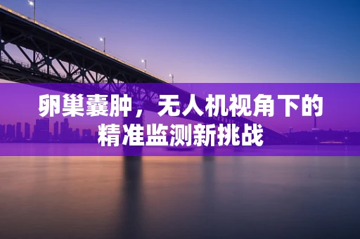 卵巢囊肿，无人机视角下的精准监测新挑战