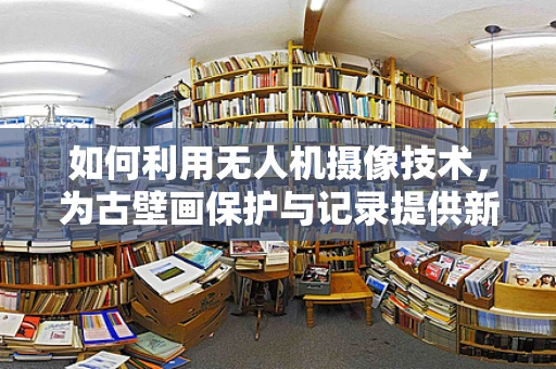 如何利用无人机摄像技术，为古壁画保护与记录提供新视角？