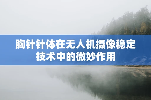 胸针针体在无人机摄像稳定技术中的微妙作用