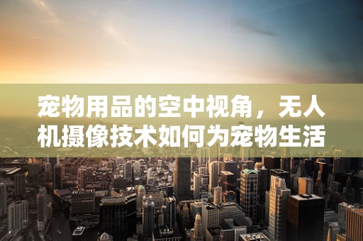 宠物用品的空中视角，无人机摄像技术如何为宠物生活增添乐趣？