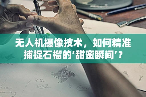 无人机摄像技术，如何精准捕捉石榴的‘甜蜜瞬间’？