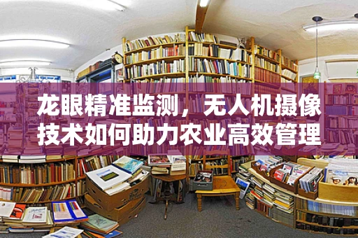 龙眼精准监测，无人机摄像技术如何助力农业高效管理？