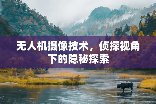 无人机摄像技术，侦探视角下的隐秘探索