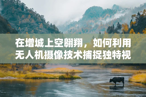 在增城上空翱翔，如何利用无人机摄像技术捕捉独特视角？