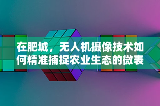 在肥城，无人机摄像技术如何精准捕捉农业生态的微表情？