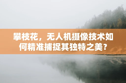攀枝花，无人机摄像技术如何精准捕捉其独特之美？