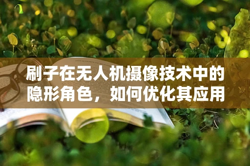 刷子在无人机摄像技术中的隐形角色，如何优化其应用与维护？