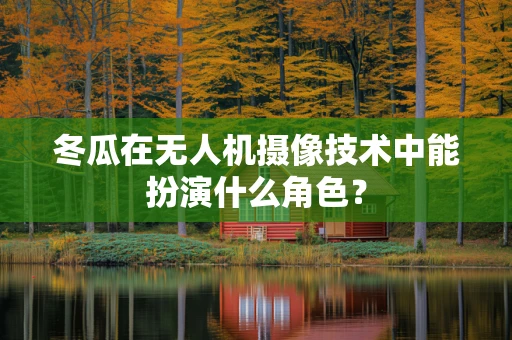 冬瓜在无人机摄像技术中能扮演什么角色？