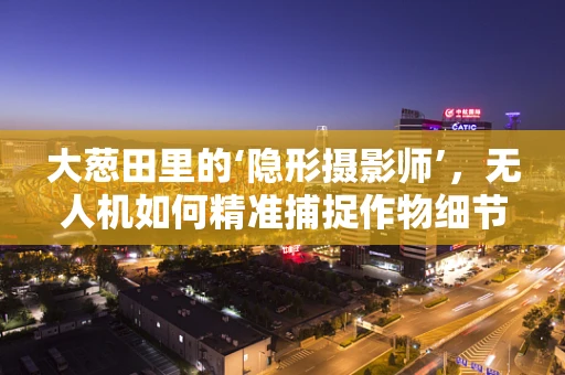 大葱田里的‘隐形摄影师’，无人机如何精准捕捉作物细节？