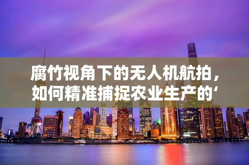 腐竹视角下的无人机航拍，如何精准捕捉农业生产的‘隐形冠军’？