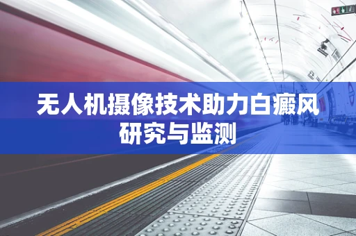 无人机摄像技术助力白癜风研究与监测
