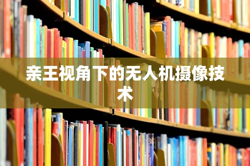 亲王视角下的无人机摄像技术
