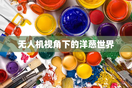 无人机视角下的洋葱世界