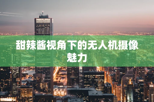 甜辣酱视角下的无人机摄像魅力