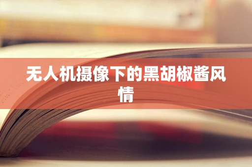 无人机摄像下的黑胡椒酱风情
