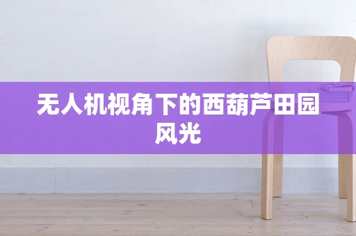 无人机视角下的西葫芦田园风光