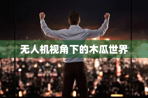 无人机视角下的木瓜世界