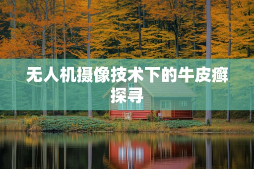 无人机摄像技术下的牛皮癣探寻