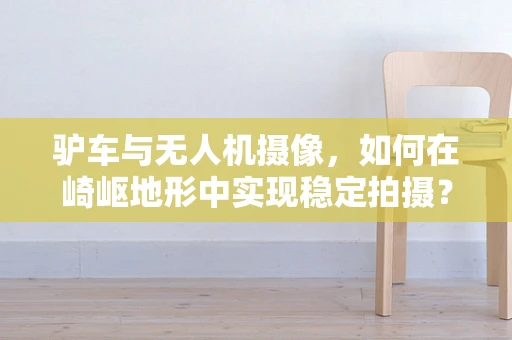 驴车与无人机摄像，如何在崎岖地形中实现稳定拍摄？
