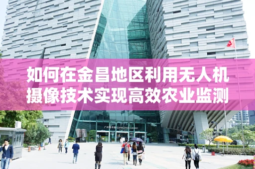 如何在金昌地区利用无人机摄像技术实现高效农业监测？