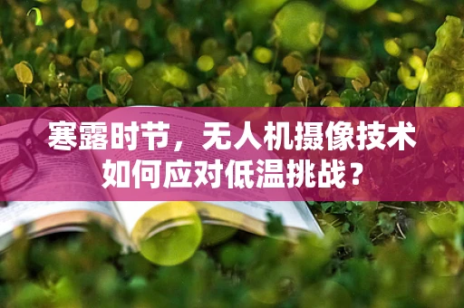 寒露时节，无人机摄像技术如何应对低温挑战？