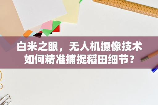 白米之眼，无人机摄像技术如何精准捕捉稻田细节？