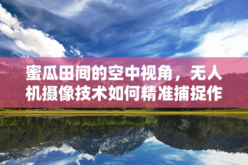蜜瓜田间的空中视角，无人机摄像技术如何精准捕捉作物生长细节？