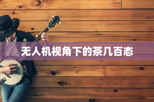 无人机视角下的茶几百态