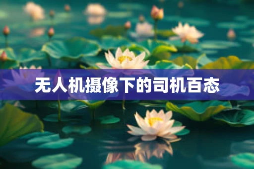 无人机摄像下的司机百态