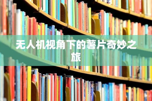无人机视角下的薯片奇妙之旅