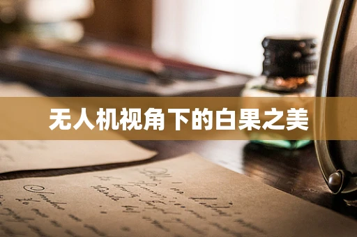 无人机视角下的白果之美