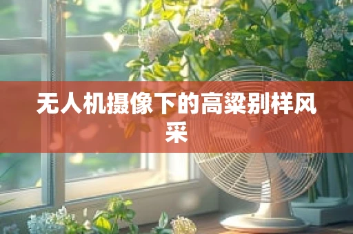 无人机摄像下的高粱别样风采