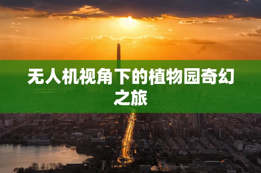 无人机视角下的植物园奇幻之旅