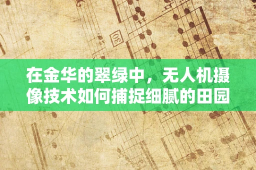 在金华的翠绿中，无人机摄像技术如何捕捉细腻的田园风光？