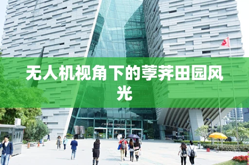 无人机视角下的荸荠田园风光