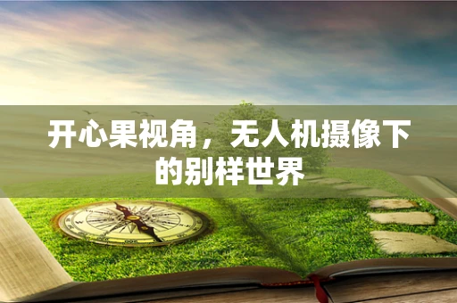 开心果视角，无人机摄像下的别样世界