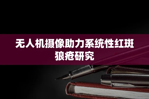 无人机摄像助力系统性红斑狼疮研究