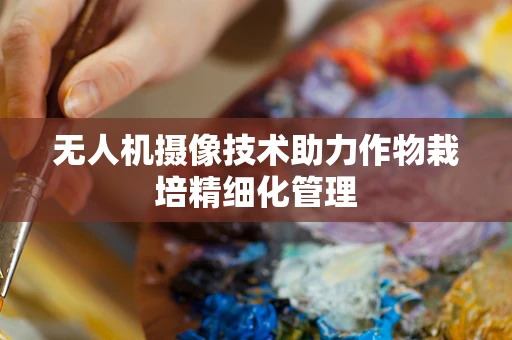 无人机摄像技术助力作物栽培精细化管理