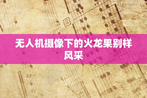 无人机摄像下的火龙果别样风采