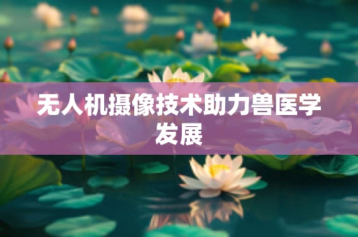 无人机摄像技术助力兽医学发展