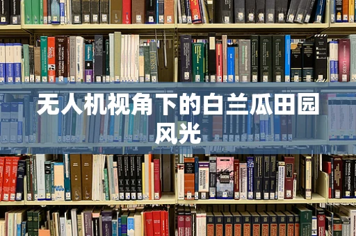 无人机视角下的白兰瓜田园风光