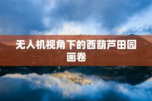 无人机视角下的西葫芦田园画卷