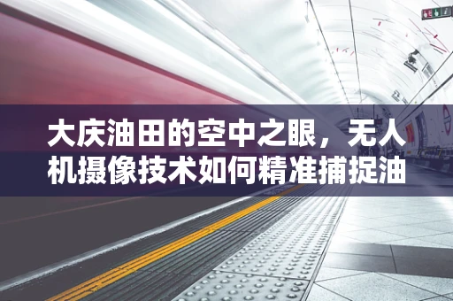 大庆油田的空中之眼，无人机摄像技术如何精准捕捉油田动态？